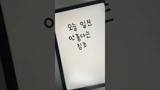 이거 안보면 오늘 일진 사나움