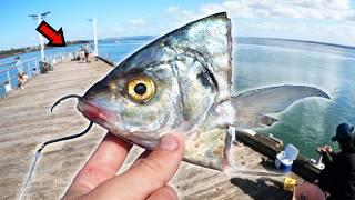 This Fresh Bait Catches GIANT Fish!!