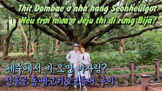 [한국여행] 선흘곶 돔베고기&고등어구이, 비 온 뒤 비자림 Thịt Dombae nhà hàng Seonheulgot, Rừng Bija vào ngày trời mưa