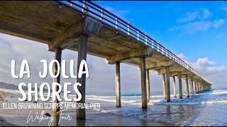 Relaxing Waves La Jolla Shores | Ellen Browning Scripps Memorial Pier | San Diego, CA