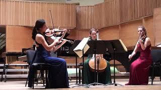 IVANI Quartet Schubert Quartet Nr  14 D810