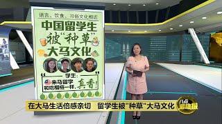 “像榴莲一样真香”  中国留学生被“种草”马来西亚文化 | 八点最热报 18/11/2024