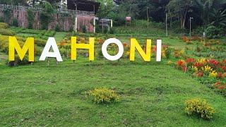 TEMPAT WISATA KOTA TOMOHON || TAMAN MAHONI SULAWESI UTARA