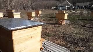25 марта убираю рамки со склада в ульи