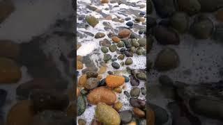 Ocean Sounds at Pebble Beach #travel #nature #wanderlust #beach #wavesounds #pebbles #pebblebeach