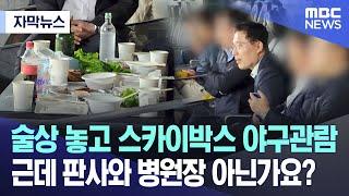 [자막뉴스] 술상 놓고 스카이박스 야구관람 근데 판사와 병원장 아닌가요? (MBC뉴스)