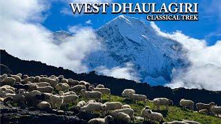 PUTHA VIEWPOINT || WEST DHAULAGIRI CLASSICAL TREK