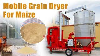 Mobile Grain Dryer in Action: Efficient Drying of Corn on the Farm | Maize Dryer #dryer #graindryer