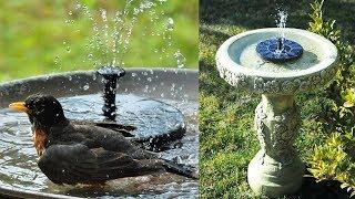  Best Solar Garden Fountain Pump Review 2019