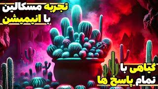 انیمیشن تجربه مسکالین  بعد سی سال زندگی ، تازه زنده شدم ️