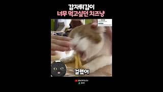 분명 손은 눈보다 빠르다 했는데.. 