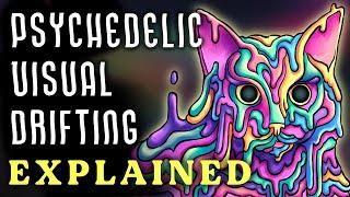 Why Things Melt on Psychedelics (Ft. @LokaVision)