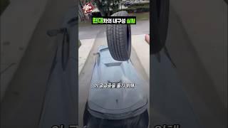 현대차의 특별한 내구성 실험