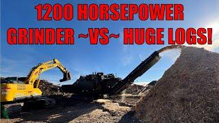 1200 HP Grinder -VS- HUGE Logs!