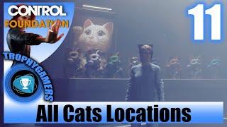 Control The Foundation - All Cats - How to Gather all the Maneki-Nekos Walkthrough Helping Guide