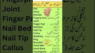 Hand Anatomy: English to Urdu Vocabulary | Smart Study zone