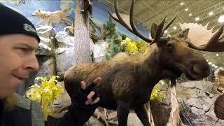 LEGEND Records - CABELA'S Bass Pro Shops - Taxidermy Greatness (Mr. Thrasha Show Episode 221)