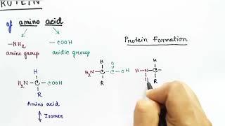 Protein Structure Biochemistry | English | by Snigdha Goswami