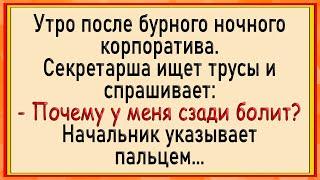 Как секретаршу по кругу пустили! Сборник свежих анекдотов! Юмор!