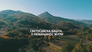 СВЕТОСАВСКА БАШТА У НЕМАЊИНОЈ ЖУПИ