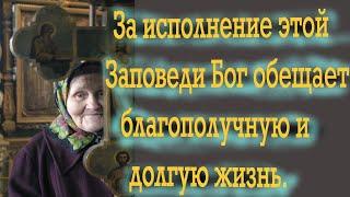 За исполнение Этой Заповеди, Бог обещает благополучную и долгую жизнь! Духовное сокровище!