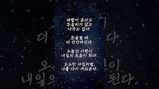 지식톡톡 | 명언 시리즈 “바람이 불어도 흔들리지 않는 나무처럼” (법정 스님 철학에서 영감을 받은 명언)