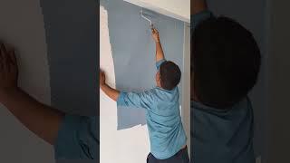 Wall colour for bedroom #bollywood #song #music #shorts #shortvideo