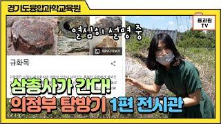 연구원 삼총사의 경기도융합과학교육원(의정부) 탐방기(1편)ㅣ전시관 소개ㅣ2020.06.11.목