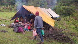 Nepali Village Life Rainy Day || Sheep Shepherd Simple the Best Life ||