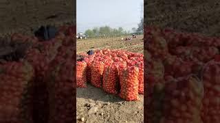 Arun Vashisth Farm Kasison(5)