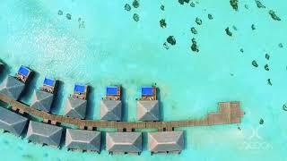 Cocoon Maldives Is A Premium All Inclusive Resort Offering Seaplane Transfers From Male Airport.