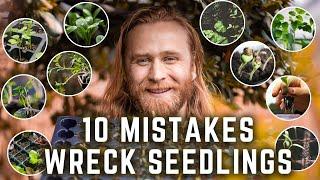 10 Beginner SEED STARTING Mistakes You MUST AVOID