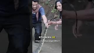 BIAWAK INI NGAMUK SAAT PANJI COBA TAKLUKAN !!