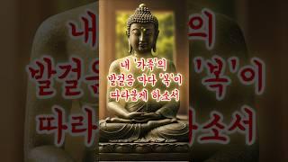 걷는 길마다 복이 스며드는 부처님 말씀ㅣ하루 한 번 듣는 복되는 발걸음 기도문 #마음공부 #명언 #좋은글
