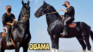 OBAMA   САТЫЛДЫ