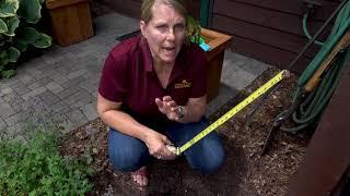 UMN Extension Right Plant Right Place Part 1