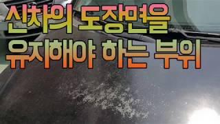 자동차도색비용, 신차의 도장면을 유지해야 하는 부위는? 부산자동차도색 신호정비