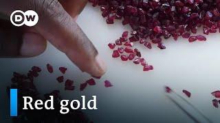 Mozambique's rubies: A blessing or a curse? | DW Documentary