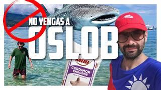 No vengais a OSLOB