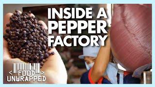 A Peek Inside a Vietnamese Pepper Factory | Food Unwrapped