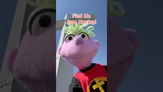Find me Jose Monkey! ​⁠@josemonkey Hint: the video is flipped #findme #findmejosemonkey