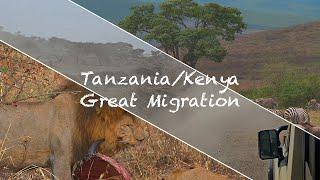 20240717 Tanzania/Kenya Great Animal Migration(坦尚尼亞/肯亞 動物大遷徙) EP.1 of 2 - Tanzania/坦尚尼亞篇