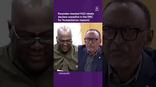 M23 rebels declare DRC ceasefire