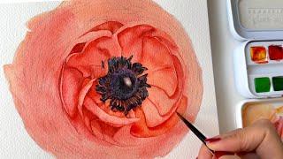 라넌큘러스 그리는 과정|How to paint watercolor Ranunculus