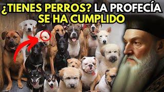 ¡DUEÑOS DE PERROS, ATENCIÓN! Nostradamus Advirtió Algo Aterrador