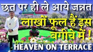 छत पर ही ले आये जन्नत || लाखों फूल हैं इस बगीचे में || HEAVEN ON GARDEN !!