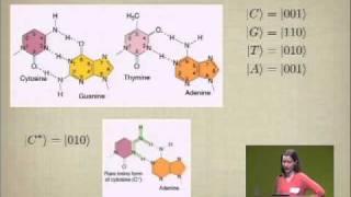 Classical and Quantum Information in DNA (Google Workshop on Quantum Biology)