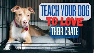 Teach Your Dog to Love Their Crate