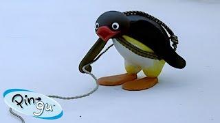 The Mountaineer!  | Pingu - Official Channel | Cartoons For Kids