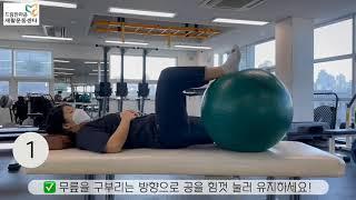 뒤꿈치로 공 누르기 (Swissball hamstring curl)